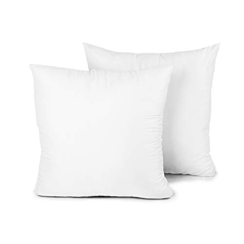 EDOW Throw Pillow Insert, Set of 2 Down Alternative Polyester Square Form Decorative Pillow, Cushion,Sham Stuffer. (White, 18x18)