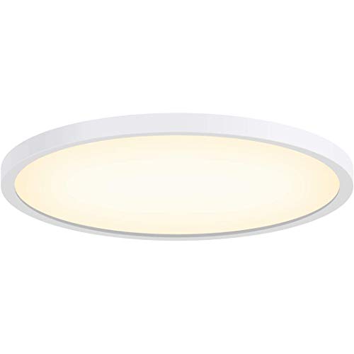 Modern LED Ceiling Light Flush Mount 11.8Inch 3000K 20W Disc Light Warm White, 2000LM Round Lighting Fixture Ceiling Lamp for Living Room, Kitchen, Bedroom, Hallway, Hotels and Offices