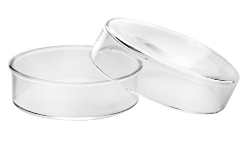 Petri Dish, 3.15' (80mm) - Beaded Edges - Easy to Sterilize for Repeated Use - Borosilicate Glass - Eisco Labs