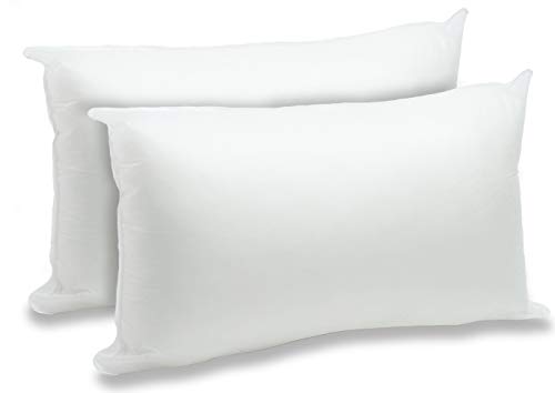 Foamily 2 Pack - 12' x 20' Premium Hypoallergenic Lumbar Stuffers Pillow Inserts Sham Square Form Polyester, Standard/White