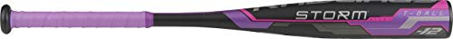 Rawlings 2019 Storm Youth TBall Softball Bat (-12), 25'/13oz