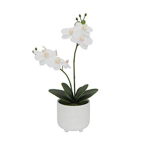 Flora Bunda Artificial Flower 16 in H Real- Touch Orchids in 4.75 in Barcode Ceramic Footed Pot