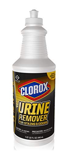 Clorox Commercial Solutions Urine Remover for Stains and Odors - 32 Ounce Pull Top Bottle (31415)