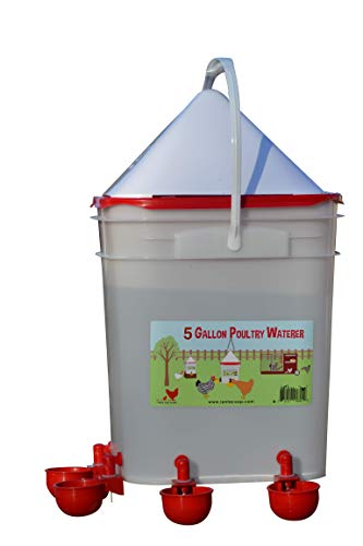 RentACoop 5 Gallon/ 4 Automatic Chicken Nipple Water Cup Chicken Waterer (Corner Placement)