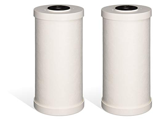 Fette Filter - Premium Heavy Duty Sediment Replacement Cartridge Compatible with GE FXHTC. Also Compatible with RFC-BBSA. 2-Pack