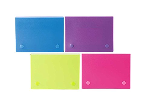 Filexec 4 x 6 Inch Index Case, Snap Button Closure, 5 Index Dividers, Assorted (Pack of 4) (50097-2026), Blue, Hot Pink, Purple, Green