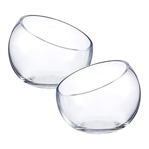 Whole Housewares Glass Slant Bowl Glass Terrarium Set of 2 (Dia 6.3' X H 5.1')