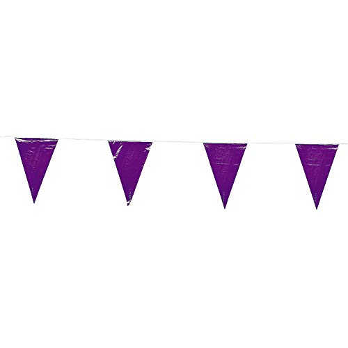 Fun Express 100 Ft Purple Pennant Banner 48 Flags Party Event Toy