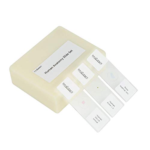 Prepared Human Tissue Anatomy Microscope Slides Set, 16pcs Hand-Prepared Slides Survey The Major Tissues and Organs of Human Body Dedicated to Human Physiology