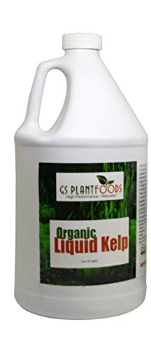 GS Plant Foods Organic Liquid Kelp Plant Fertilizer (1 Gallon) | Omri Organic Listed Seaweed & Kelp Fertilizer Solution | Kelp Seaweed Plant & Vegetable Growth Concentrate for Gardens, Lawns & Soil