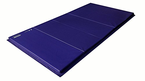 Z-Athletic Folding Panel Mats for Gymnastics, Martial Arts, Tumbling (5ft x 10ft x 2in, Blue)