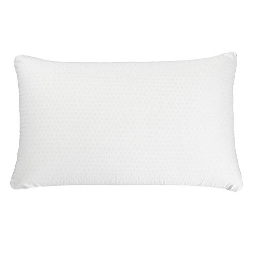 Simmons Beautyrest Beautyrest Latex Foam Pillow with Cover - 100% Talalay Latex Pillows - Queen