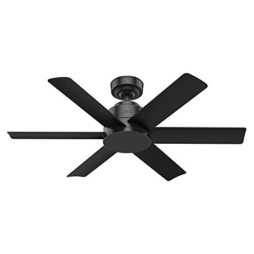 Hunter Fan Company 59613 Hunter Kennicott Indoor/Outdoor Ceiling Fan with Wall Control, 44, Matte Black