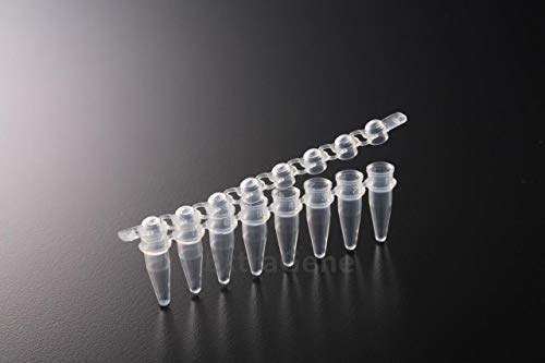 Extragene PCR Tube with 0.2ml Thin Wall, Strip of 8 Tubes, Dome Caps DNase and RNase Free Pk x 125 Strips