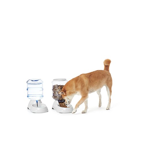 AmazonBasics Gravity Pet Food Feeder and Water Dispenser Bundle, Small (1-Gallon Capacity)