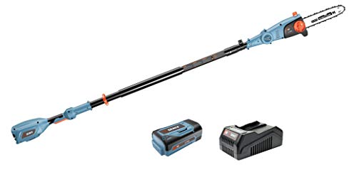 SENIX A01400145 CSPX5-M 10 Inch 58V Cordless Pole Saw to Reach Branches up to 14 Feet Above, Blue