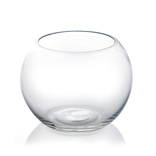 CYS EXCEL Glass Bubble Bowl (H-4.5' W-5.5') | Glass Round Bowl Terrarium | Fish Bowl Vase | Globe Flower Vase Centerpiece
