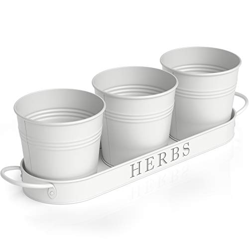Barnyard Designs Herb Pot Planter Set with Tray for Indoor Garden or Outdoor Use, Decorative White Metal Succulent Potted Planters for Kitchen Windowsill, (Set of 3, 4.25” x 4” Planters on 12.5” x 4”