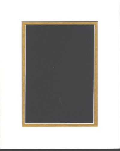 Pack of 10 8x10 White & Gold Double Picture Mats Mattes Matting Cut for 5x7 Pictures