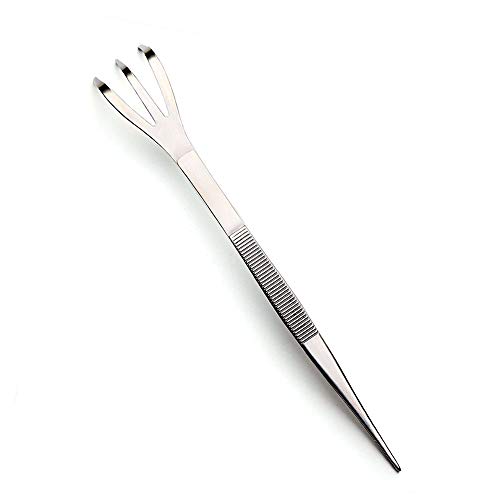 Bonsai Tools Jtt-02 Bonsai Tweezers Stainess Steel Rake Robust Very Firm and Durable Made by Tian Bonsai