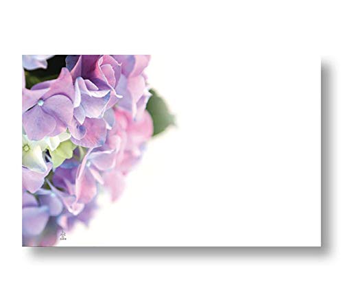 Hydrangea Spring Floral Enclosure Cards, Pack of 50