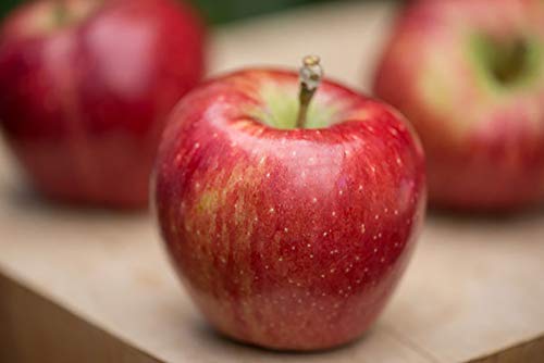 Red Delicious Apples Gift Box (14 Apples)