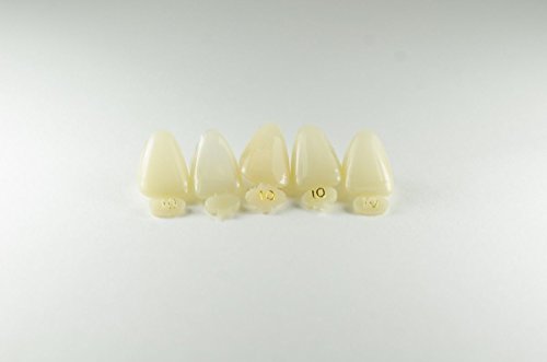 Dental Polycarbonate Temporary Crowns #10 Upper Right Central (5 Pack)
