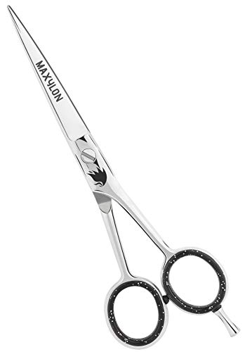Maxylon Professional Hair Cutting Scissors Shears 6 Inch Japanese Stainless Steel Barber Hairdressing Scissors Razor Edge For Hairdressers, Barber salon, Men and Women