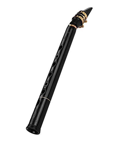 8-Hole LittleSax: New Style of 2020, Key C, Simple Mini Saxophone, Pocket Sax, Professional instruments for amateurs and professional performers.