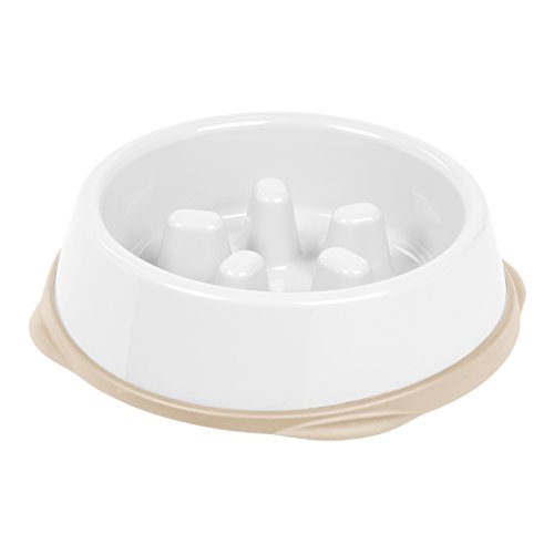 IRIS Slow Feeding Bowl for Short Snouted Pets, White/Beige