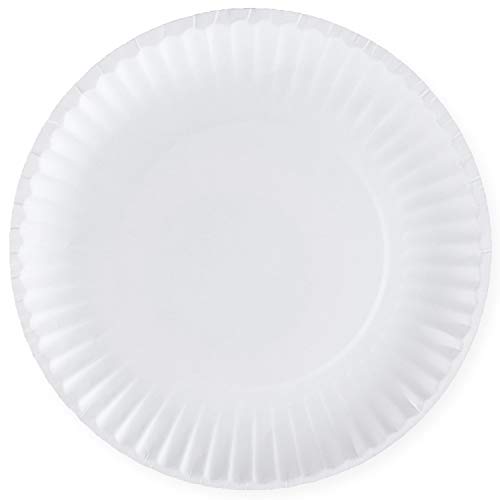 [300 Pack] Bulk Disposable White Uncoated Paper Plates, 9 Inch Large