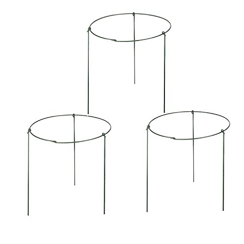 rescozy (Pack of 3) Large Garden Plant Support Rings, 10' Wide x 17' High, 3 Legs