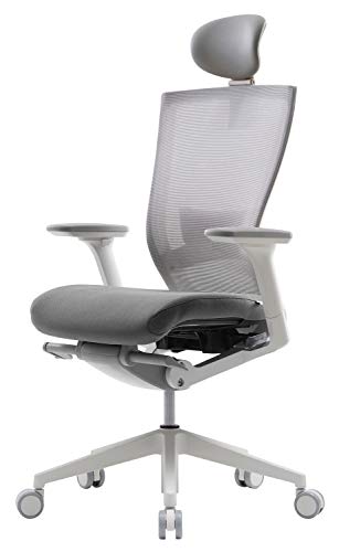 SIDIZ T50 Highly Adjustable Ergonomic Office Chair (TNB500HLDA): Advanced Mechanism for Customization/Extreme Comfort, Headrest, Ventilated Mesh Back, Lumbar Support, 3D Arms, Seat Slide/Slope (Gray)