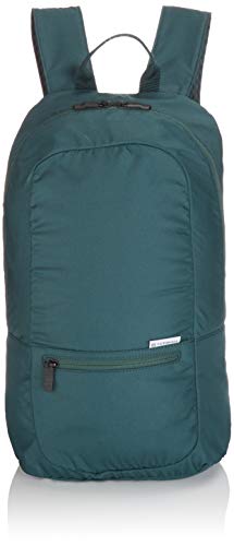 Victorinox Packable Casual Lightweight Backpack, Evergreen, 18.1-inch