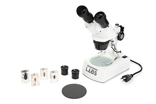 Celestron S10-60 Stereo Microscope