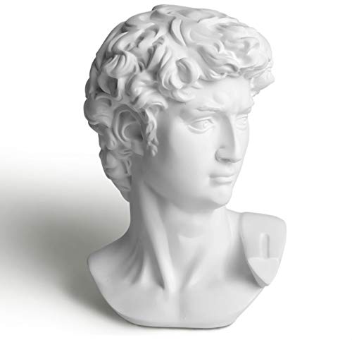 Garwor 6” Classic Greek David Head Resin Sculptures and Statues, Home Décor Office Décor, Michelangelo David Bust Figurine