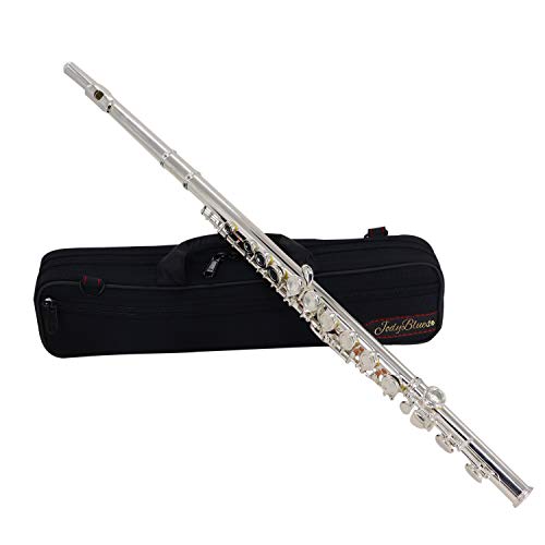 Flute 16 Keys Nickel Silver Closed Hole C High Student Beginner Grade with Case, Tuning Rod and Screwdriver Cleaning Cloth,Joint Grease and Gloves
