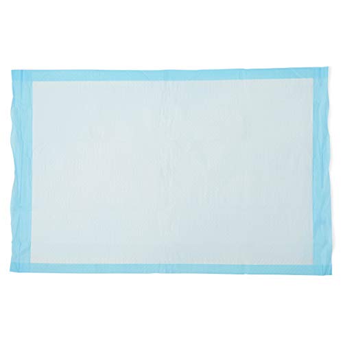 Quilted Basic Disposable Blue Underpad, 23' x 36' for incontinence, Furniture Protection or Pet Pads (Pack of 150)
