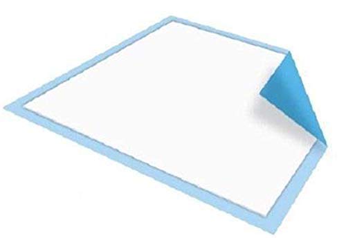 Platinum Care Pads Disposable Underpads Size 17X24 Case of 300 Blue and White Great for Changing Table and Surfaces