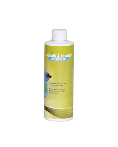 Sanco 88002 Bird Bath & Fountain Maintenance, 8 oz, Natural