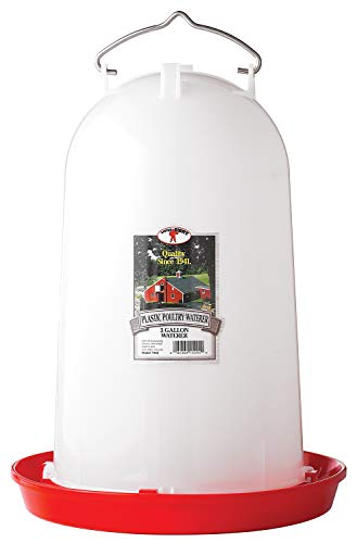 Little Giant 3 Gallon Poultry Waterer 7906, 3 gal, White