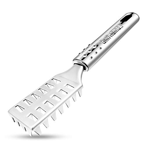GiniHome Fish Scaler Brush,Fish Scaler Remover with Stainless Steel Sawtooth,Ergonomic Handle Design - Easily Remove Fish Scales-Cleaning Brush Scraper Kitchen Tool (silver)