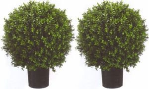 Silk Tree Warehouse Company Inc Two 2 Foot Outdoor Artificial Boxwood Ball Topiary Bushes Potted Plants 16 inches Wide