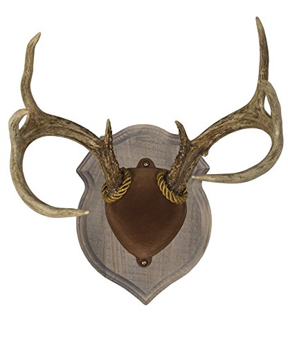 Walnut Hollow Country Deluxe Antler Mount Kit, Solid Pine Rustic Barn Board Finish