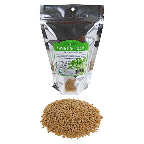1 Lb Non-GMO Organic Whole Wheat Kernels - Hard White Wheat Grain and Heirloom Wheat Seeds for Hard White Wheat Berry Seeds for Sprouting, Organic Wheatgrass, Wheat Berry Bread, and Winter Wheat Seed