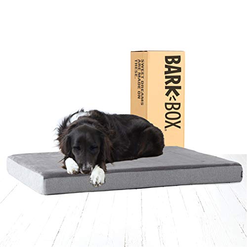 Barkbox Memory Foam Platform Dog Bed | Plush Mattress for Orthopedic Joint Relief (Large, Grey)