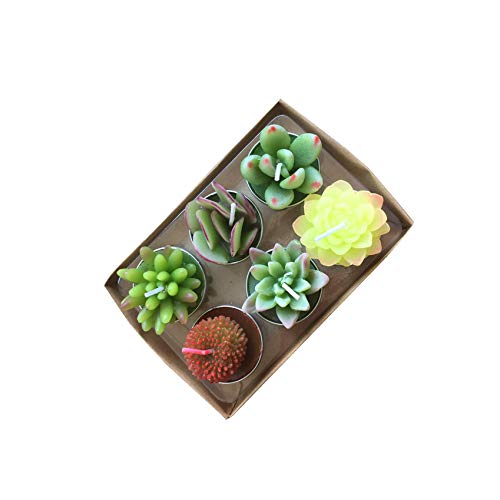 YanSheng Succulent Cactus Tea Light Candles Unscented 6pcs Assorted for Birthday Party Favors Wedding Decor Gift Sets