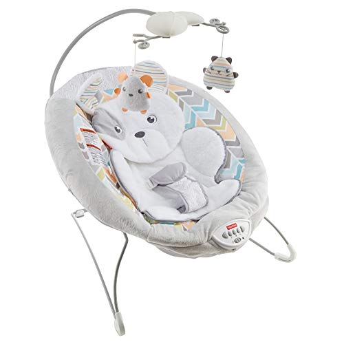 Fisher-Price Sweet Snugapuppy Dreams Deluxe Bouncer