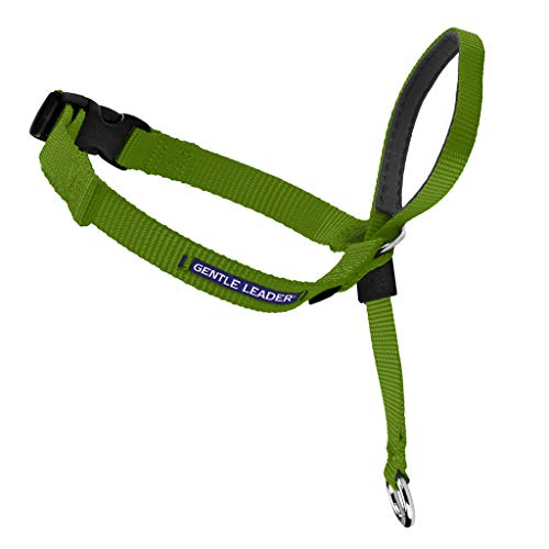 PetSafe Gentle Leader Head Collar with Training DVD, SMALL UP TO 25 LBS., APPLE GREEN