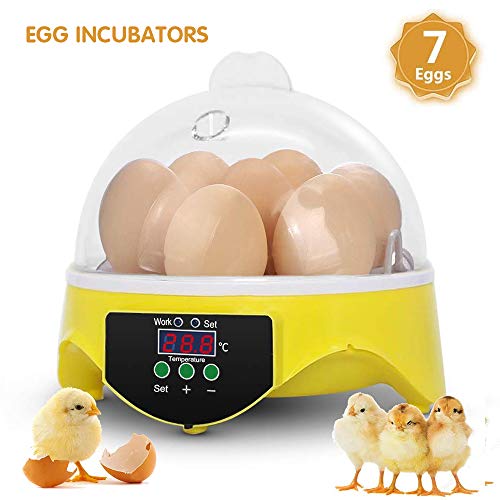 Mini Egg Incubator Fully Digital Automatic Poultry Hatcher Machine with Temperature Control, Clear General Purpose Incubators for Chickens Ducks Goose Birds(7 Eggs)